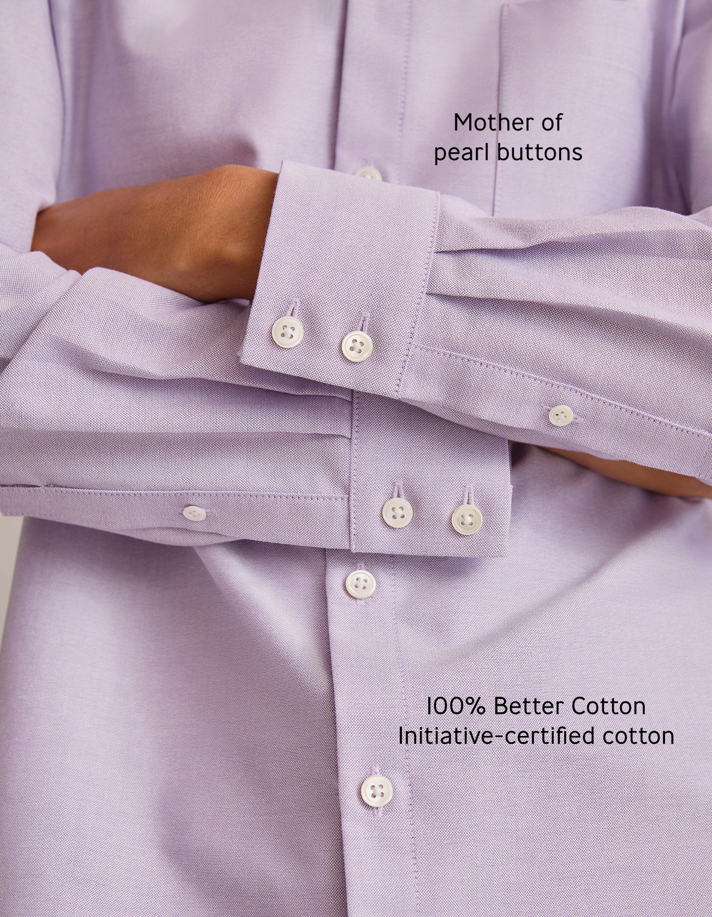 The New Oxford (Little Purple Cotton)