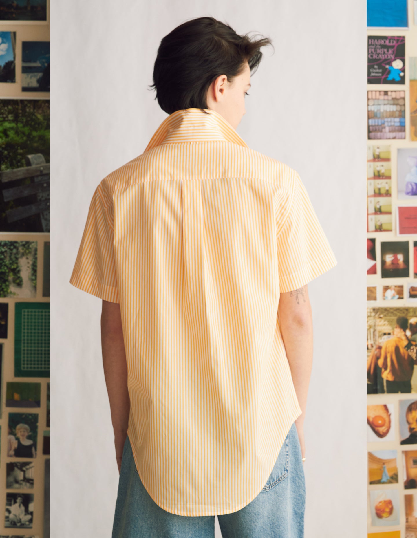 Short Sleeve Oxford (Summer Job Stripe Cotton)