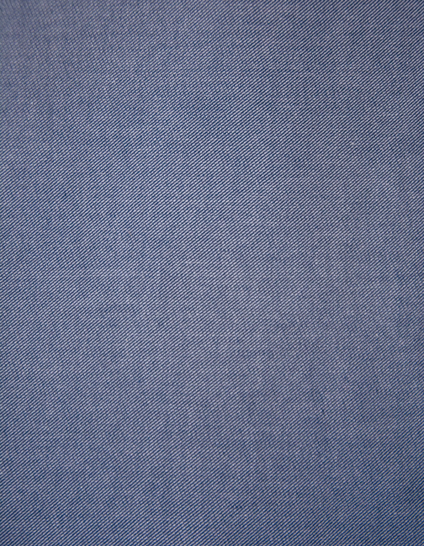 Sample Fabric: Blue & White Cotton Twill